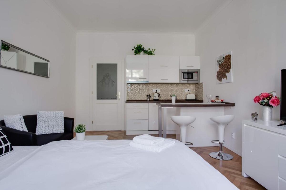 Charming Near The Historic Center * Praga